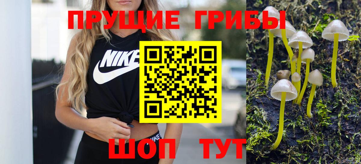Галлюциногенные грибы мухоморы  цена наркотик  Бузулук  Вход с VPN 